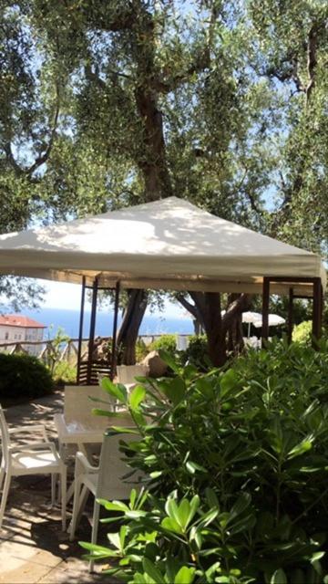 Hotel Villa Pina Antico Francischiello Massa Lubrense Extérieur photo